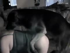 ZeusPorn: A horny K9 grandmother let the family dog to lick and fuck her.